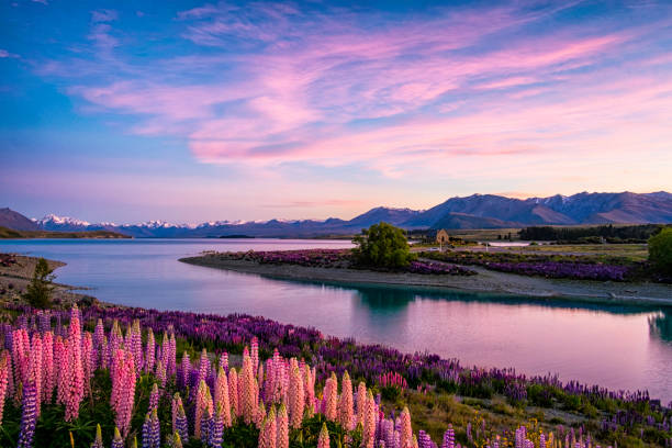 Calm New Zealand lake at first light